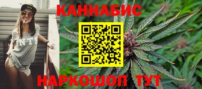 стаф Гудермес