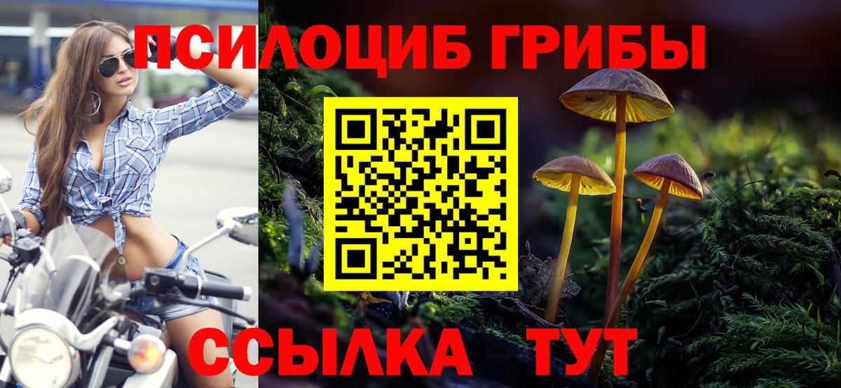 что такое наркотик  Галлюциногенные грибы мицелий  Вход с VPN  Буйнакск 