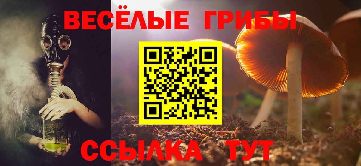 Псилоцибиновые грибы MAGIC MUSHROOMS Буйнакск